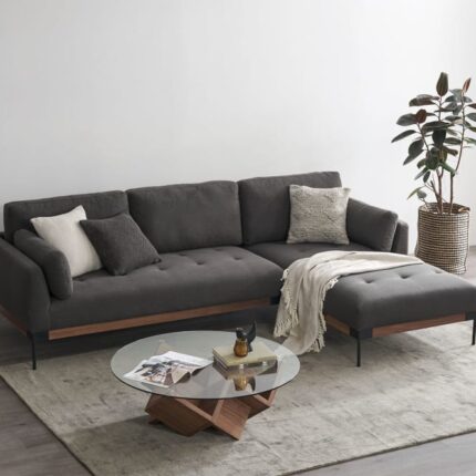 Gray beauty sofa
