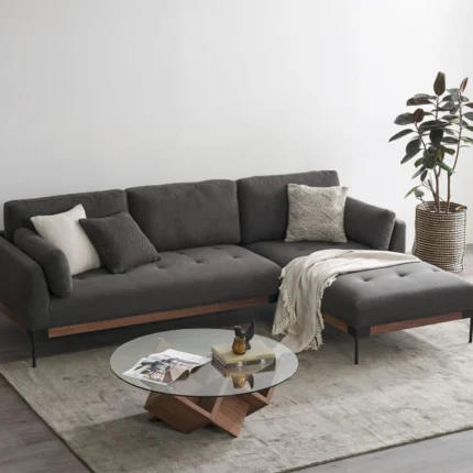 Gray beauty sofa