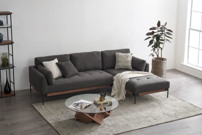 Gray beauty sofa